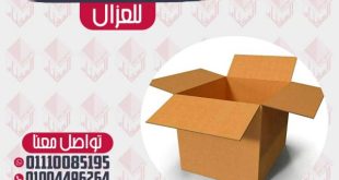 سر التغليف الآمن لكل احتياجاتك الدليل الشامل لأنواع الكراتين واختياراتها